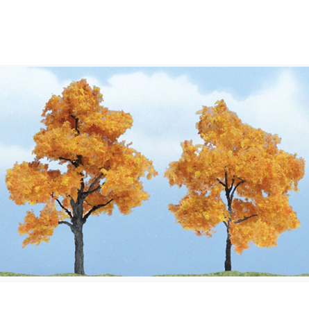가을 단풍나무(2그루) 7.62-6.03cm  (TR1604)